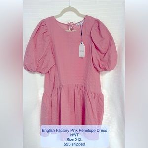 NWT Tuckernuck English Factory pink Penelope mini dress XXL